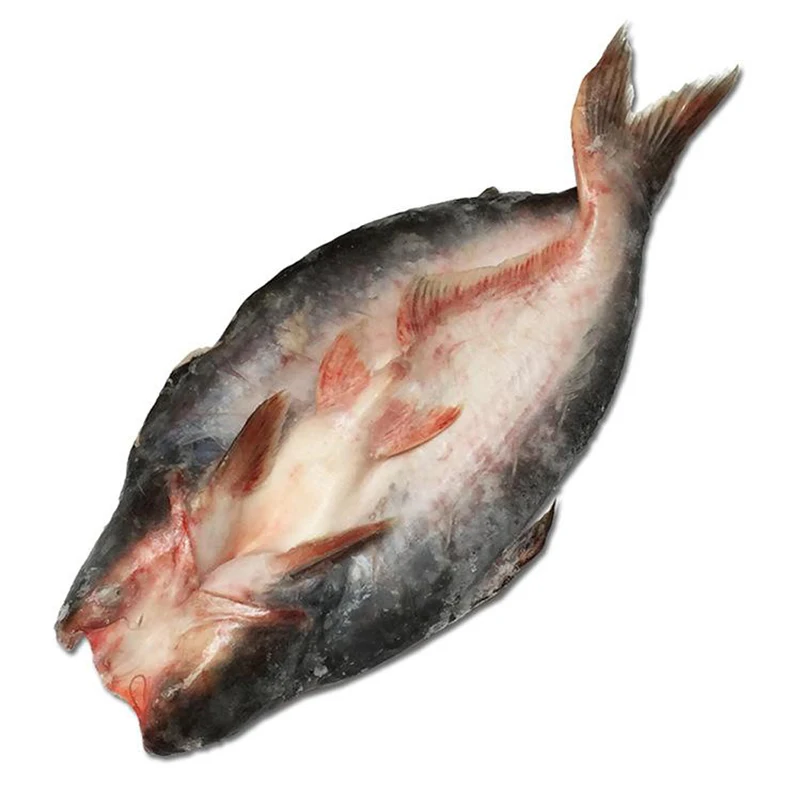 
STOCK BASA FISH VIETNAM FOR EU MARKET FROM MANUFACTURER WITH GOOD QUALITY AND FACTORY PRICE 