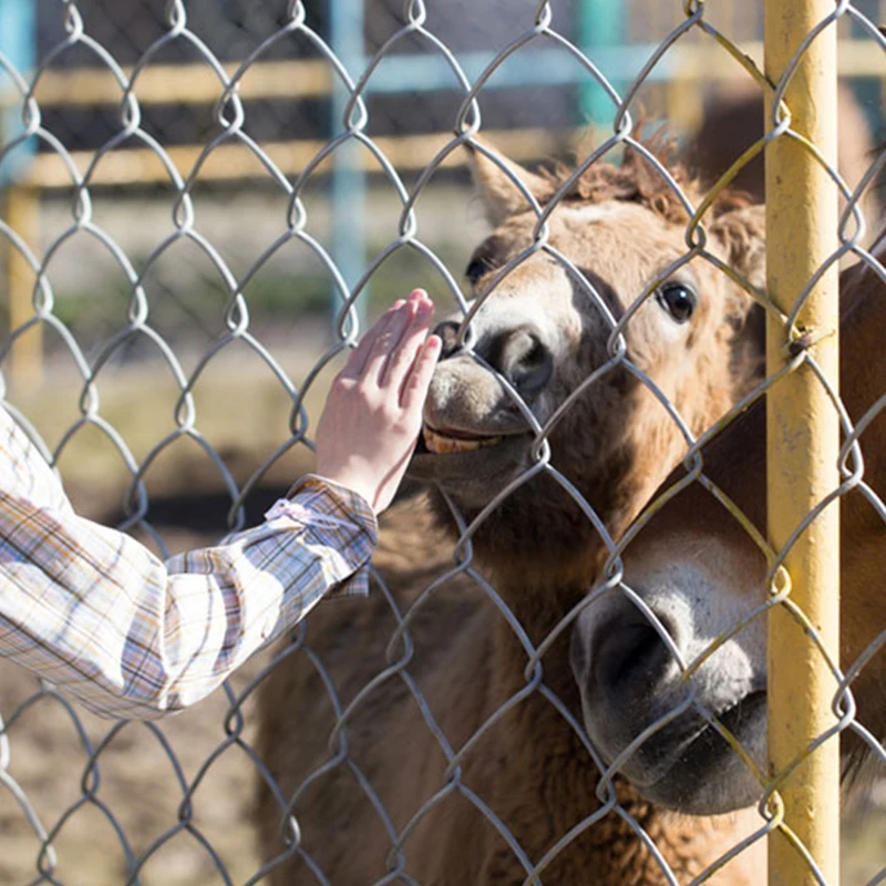 Heavy duty wire mesh for fencing 8 feet tall x 50 feet long galvanized wire 2x2 chain link fence cost