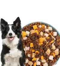 OEM Functional pets food Freeze Dried snacks and treats For Cats Dogs hamster and parrot  of all stages