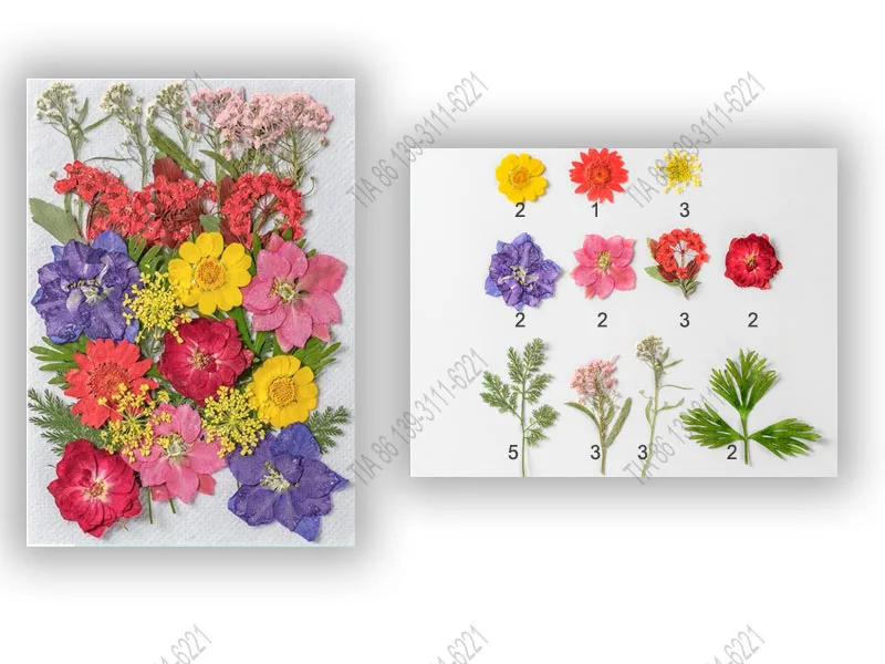 cheap 28pcs Pressed Flowers Dried Flowers for Resin Decor Crafts, Natural Dry Flowers Leaves Bulk Kit for DIY Scrapbook, candles