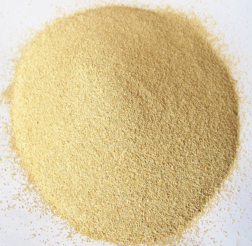 500g Bread bakers yeast active instant dry molasses yeast powder bulk