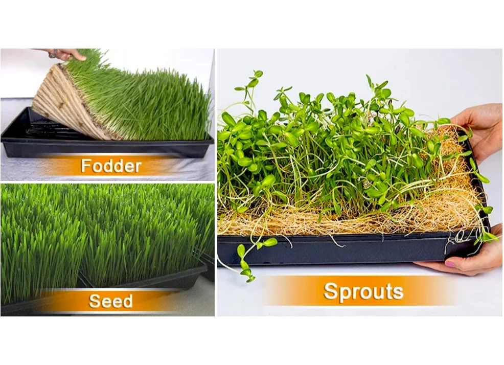Seedling Seed Plant Tree Bed Growing Plastic 1020 Nursery Trays Seedlings Trays With Lids