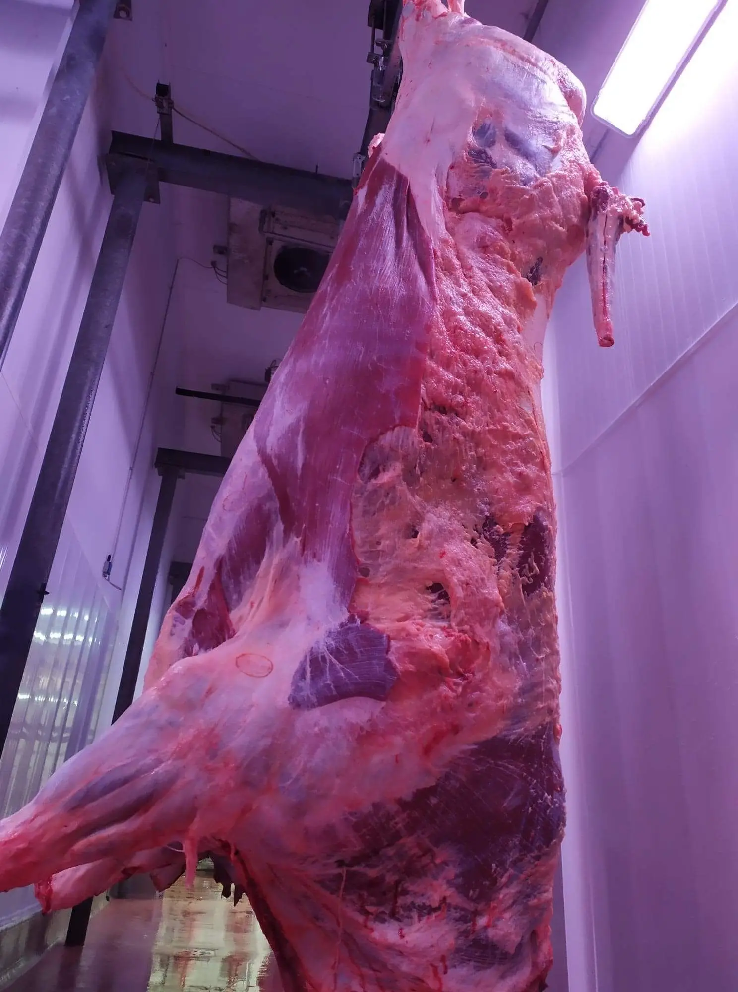 High Quality Natural Beef Meat Frozen Cow Carcass( Frame) In Vacuum Pack Beef Meat