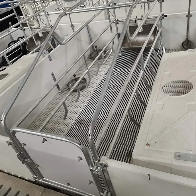 Pig farm equipment farrowing crate gestation pen steel feed trough for swine sow feeder