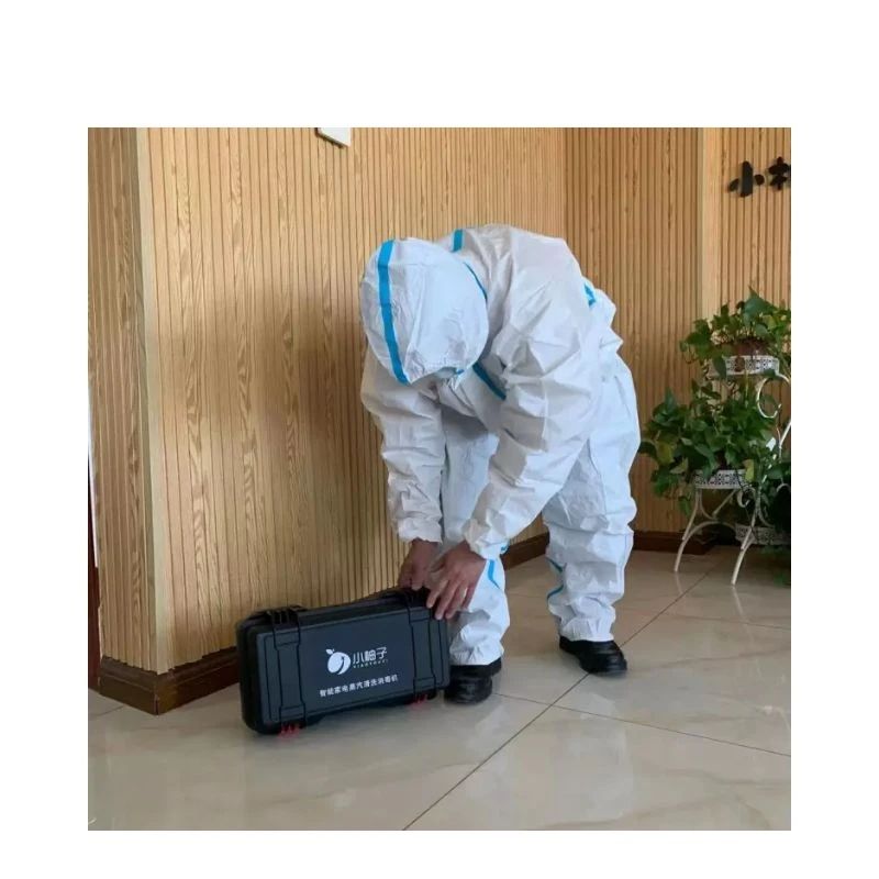 
High Power portable 3000W hospital steam sterilizer gun sterilization steam machine 