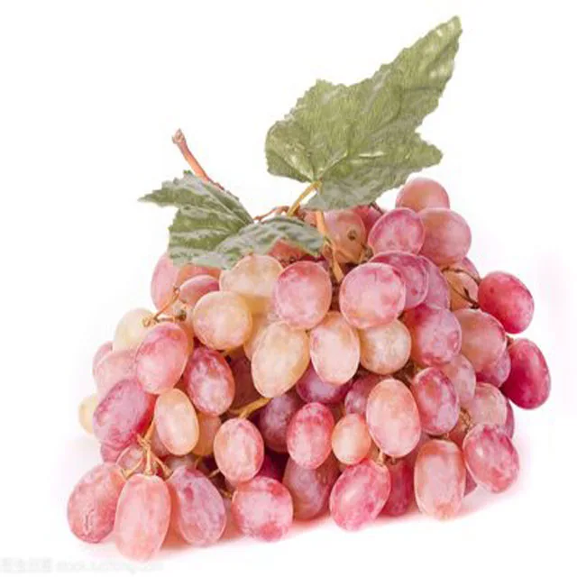 Foliar Ferlizer Gibberellic Acid  90% tc Pro-GIBB CAS 77-06-5 Release Ryzupstrong