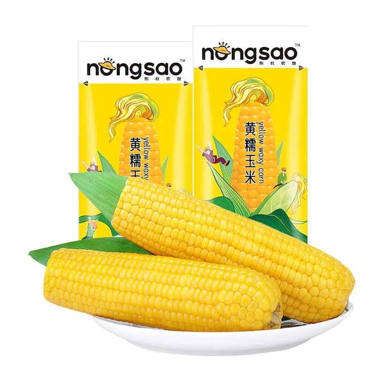 Glutinous Sticky Corn Yellow Waxy Fresh Corn