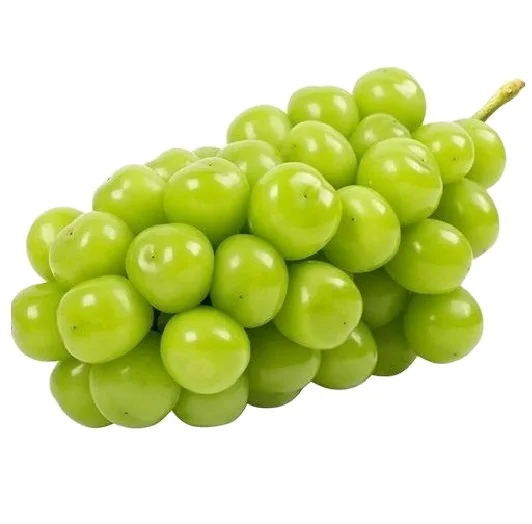 
High recommended delicious sweet 95-100% maturity natural class A green Chinese fresh grapes 