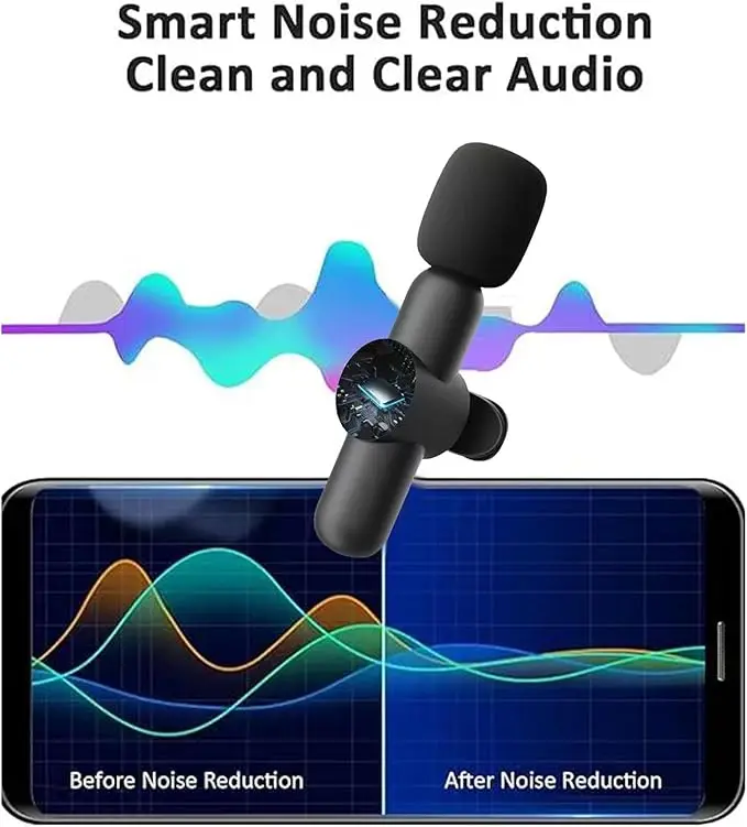 Portable 2 In 1 Wireless Microphone Interview Audio  Broadcast Comic For Horn Videos Recording