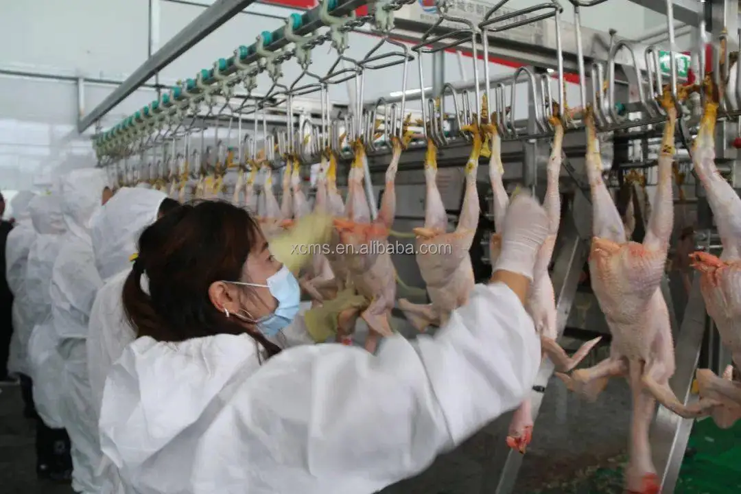 2022 hot sale Chicken Duck Goose Rabbit Pigeon turkey Poultry Processing Plant Slaughtering Equipment