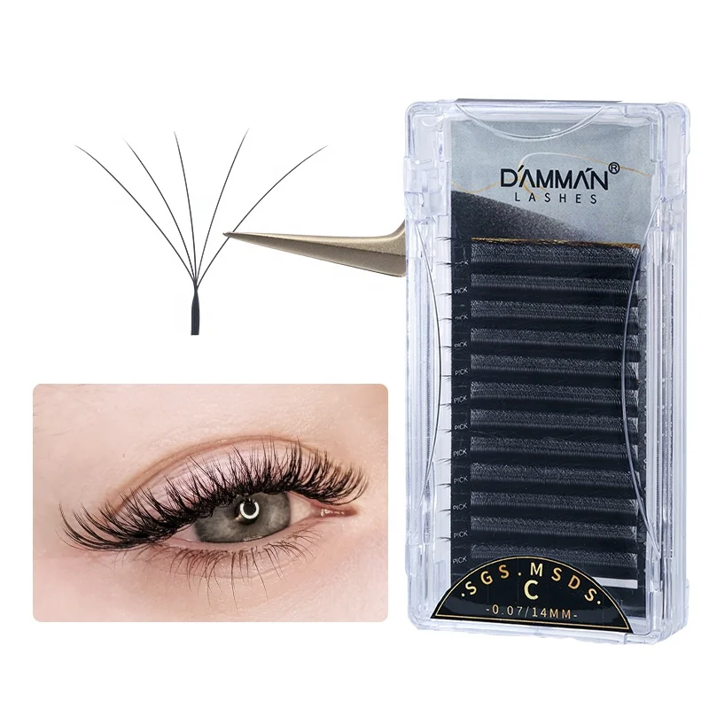 Dammansen 5D Lash Top Factory 5 Fans Eyelash Extensions Korea PBT Eyelash Extensions