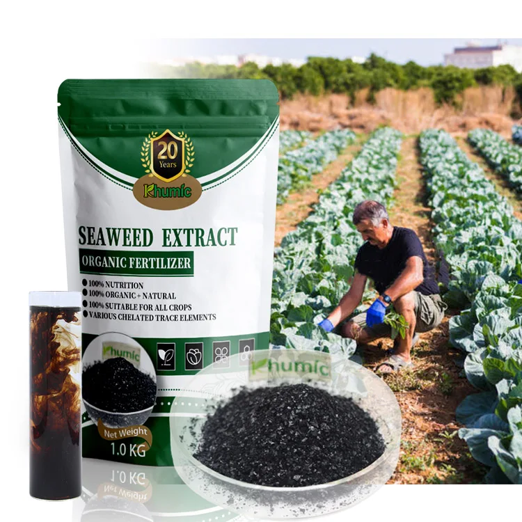 manufacturer supply 100% water soluble  kelp source Alga seaweed extract fertilizer