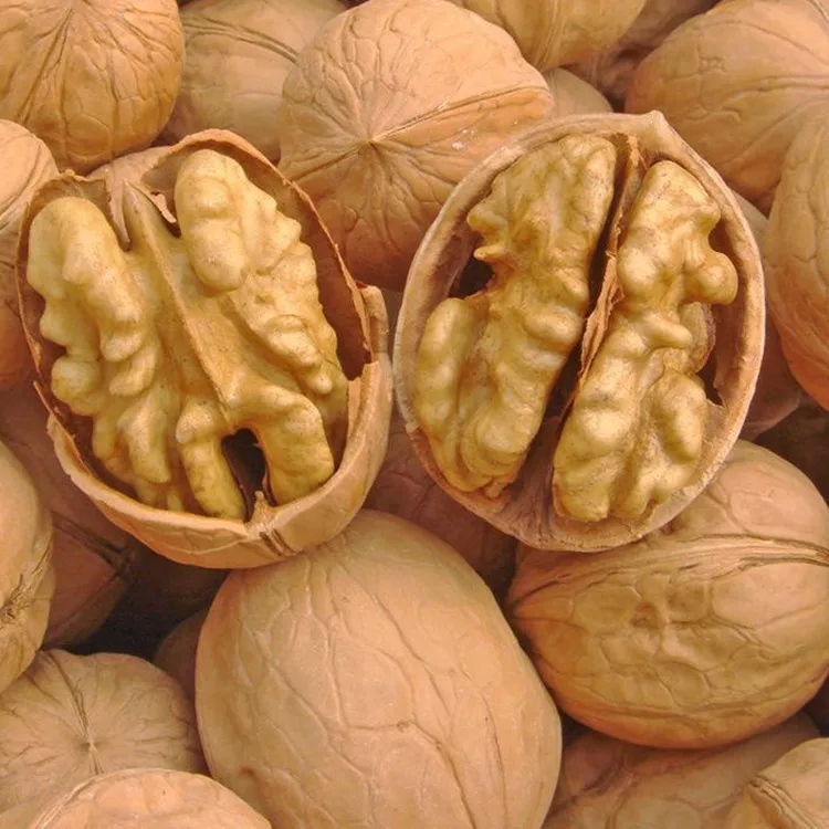 Chinese Thin-shell Walnut Dried Fruit Walnut Kernel Walnuts