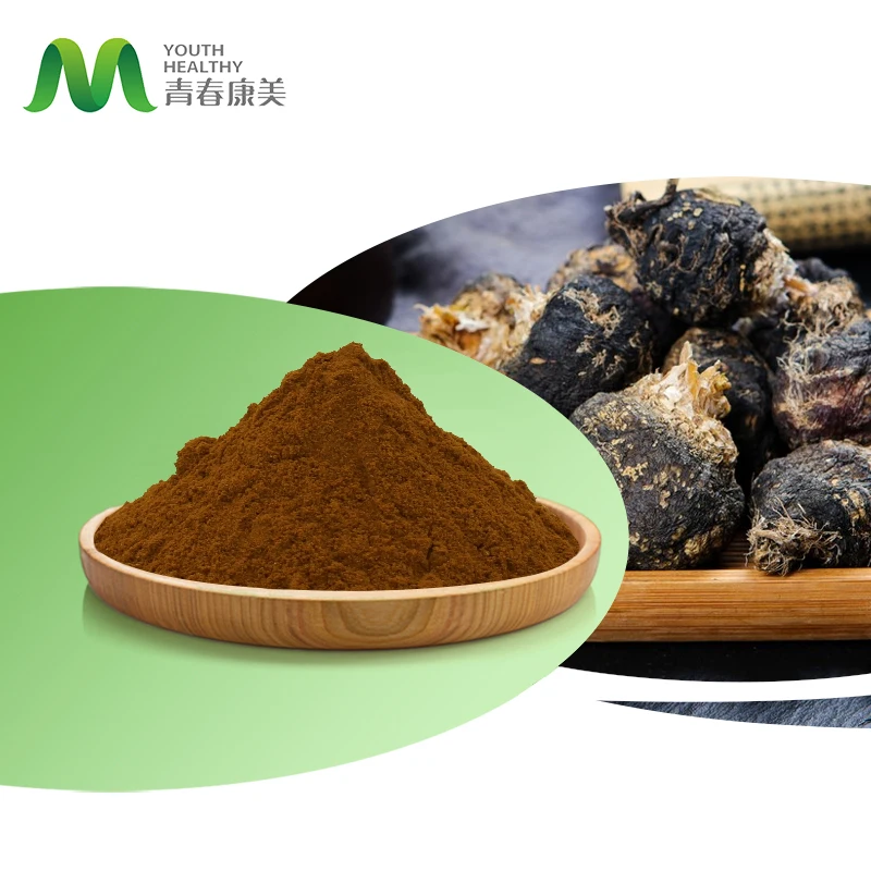 Wholesale Price Poudre De Maca Butt Enlargement Pure Organic Ultimate Black Maca Root Powder for Men