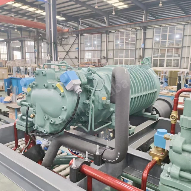 Germany Original semi hermetic refrigeration 75hp screw compressor Bit-zer HSN7471-75 china price