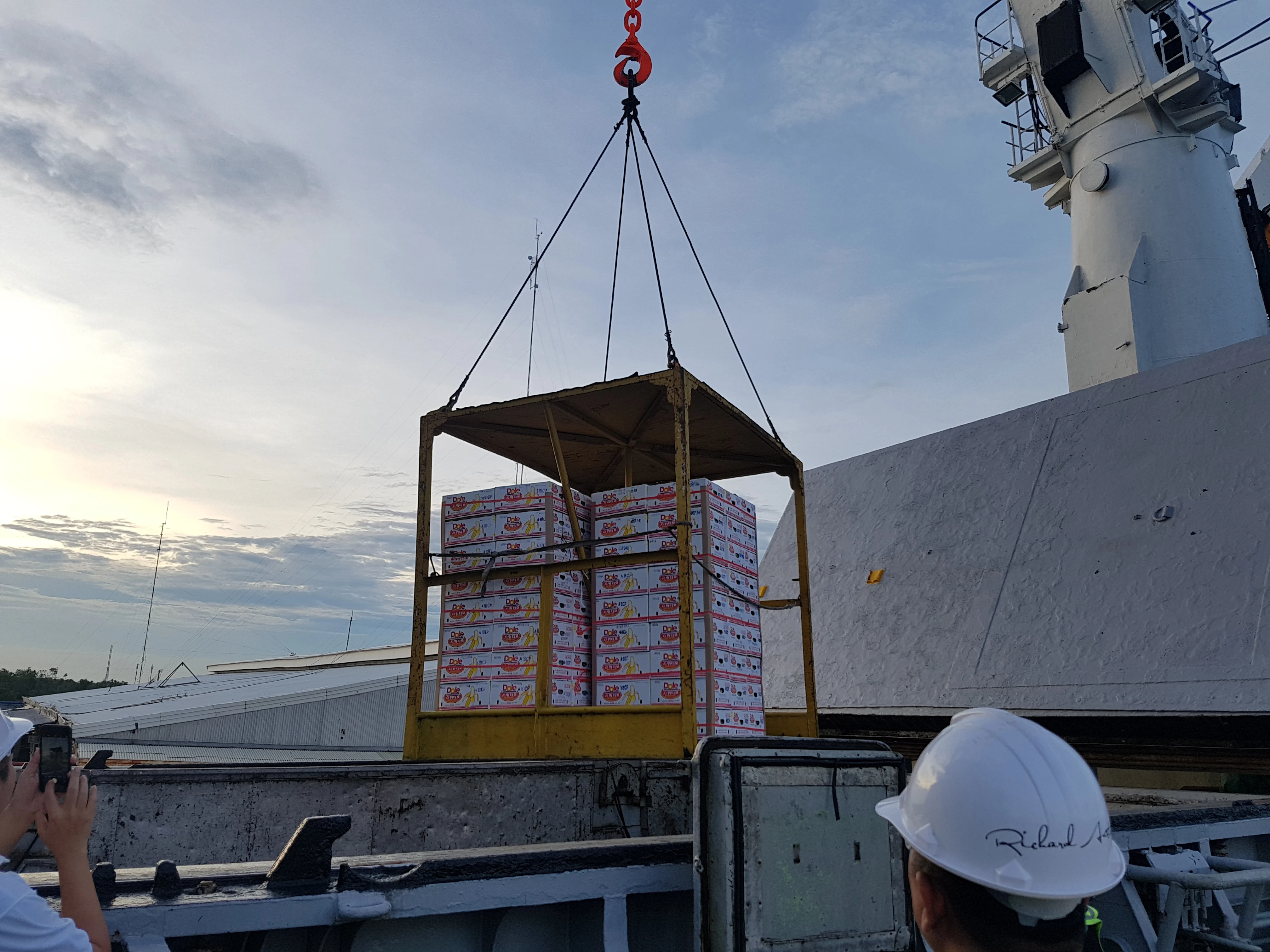 Crushed Aloe Vera in Aloe Vera Juice