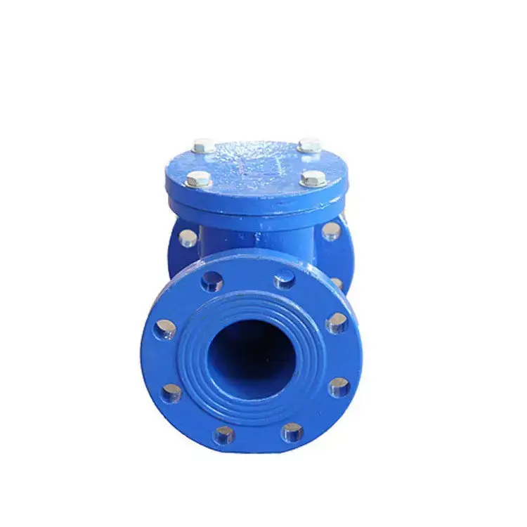 Hot sales Ductile iron H44X-16Q factory customization flexible disc check valve