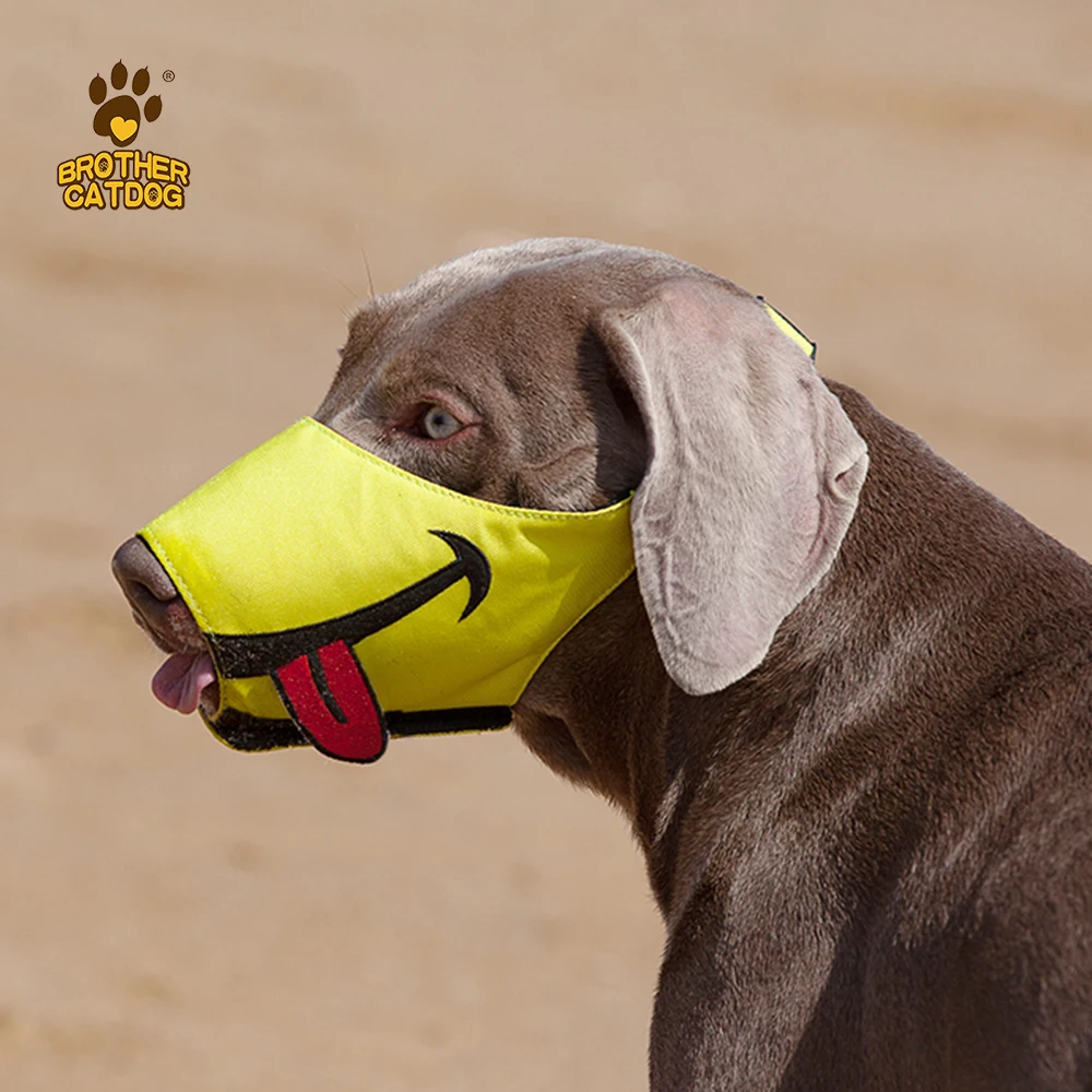 High-end dog muzzle for biting wholesale best