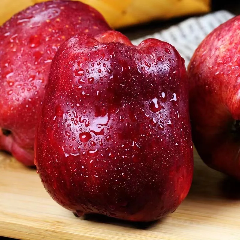 Натуральное высококачественное сладкое яблоко Fuji зеленое и красное свежее вкусное посаженное