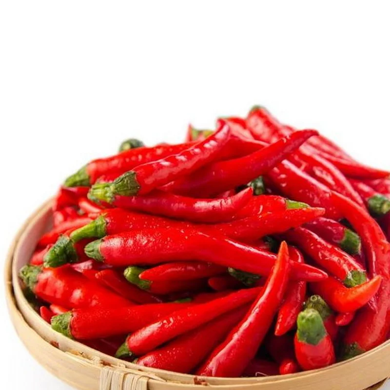 China vegetable ISO and HACCP of hot pepper fresh