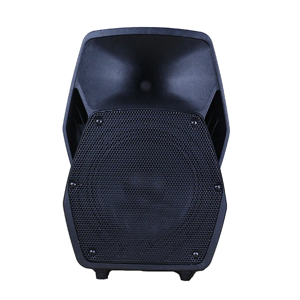 
Satisfying service 2 way active speakers 180 W 12 inch box portable speaker trolley with wheels 