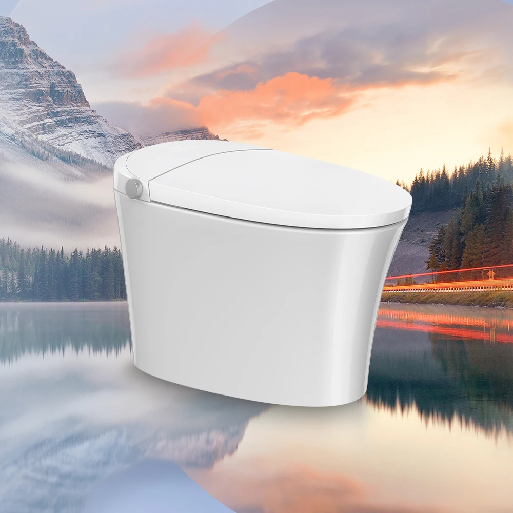Chinese supplier wc electric intelligent remote control bidet toilet