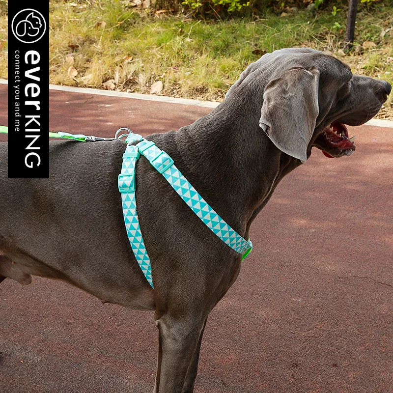 Yellow Pet Harness Chest Dog Harness Pet Strap Harness with matching color accessories