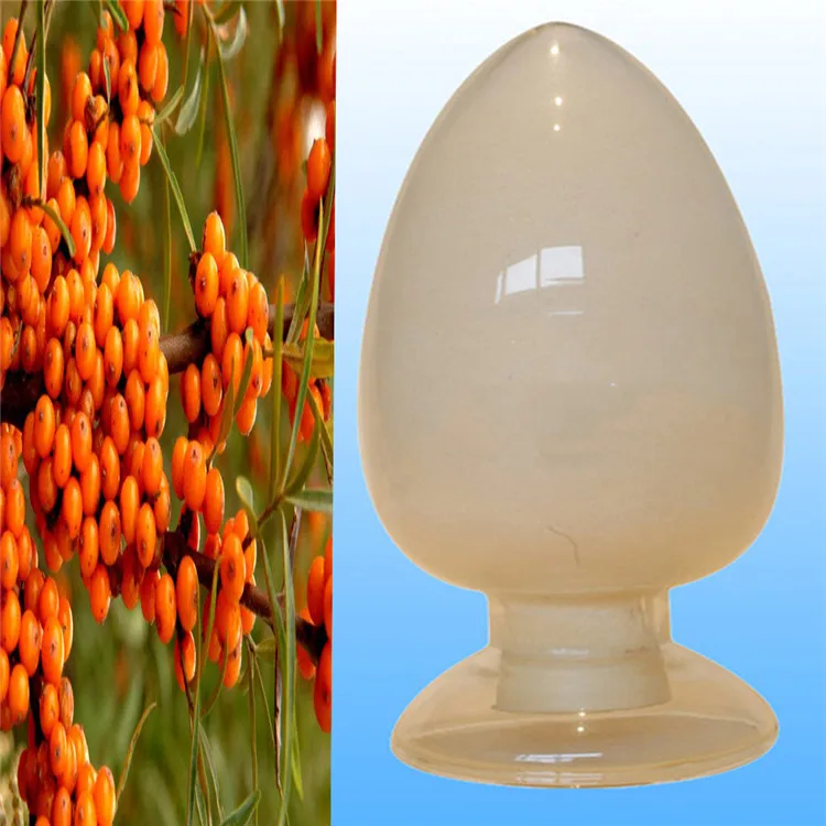 Manufacturer Directly Supplied Organic Tibetan Seabuckthorn Extract Seabuckthorn Powder