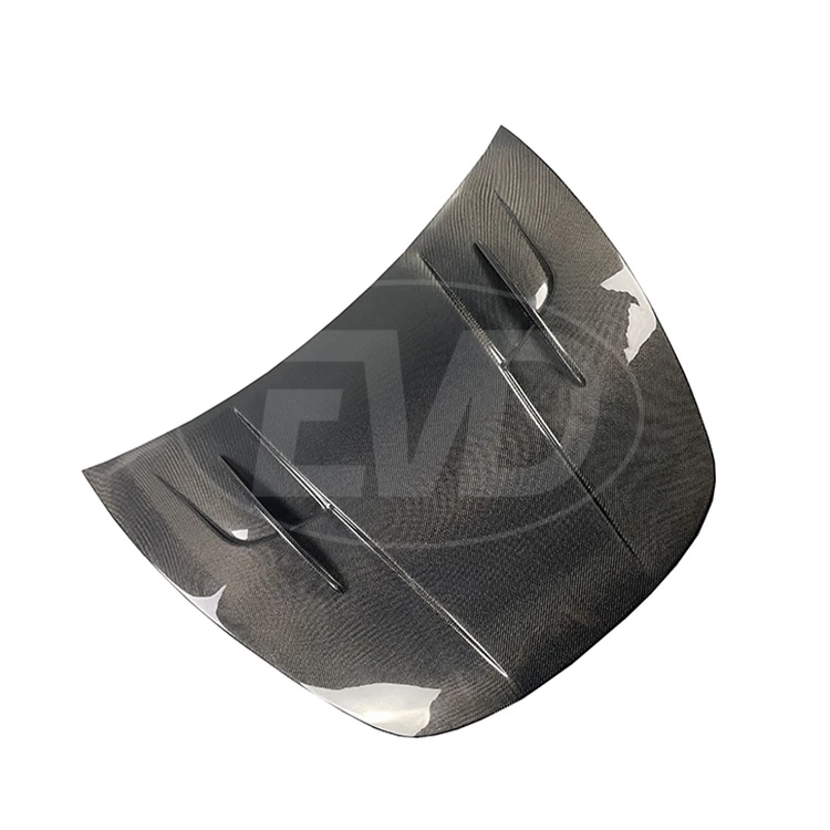 R STYLE CARBON FIBER HOOD FOR 2017-2019 TESLA MODEL 3