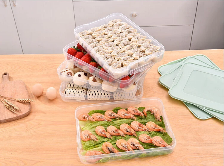 2 Layer Refrigerator Clear Plastic Storage Bins Box Manufacturers Dumpling Storage Trays Food Preservation Container
