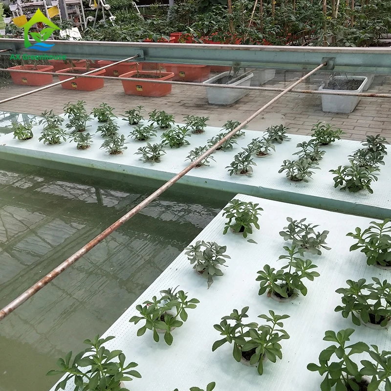 Hydroponic deep water culture system