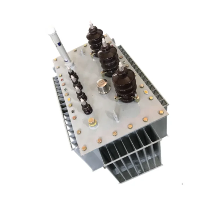 Wenzhou Manufacturers Provide 100kva Oil Type Power Transformer