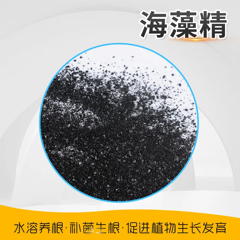 Wholesale seaweed essence Organic water-soluble fertilizer alginic acid bio-enzymatic hydrolysis Agricultural seaweed