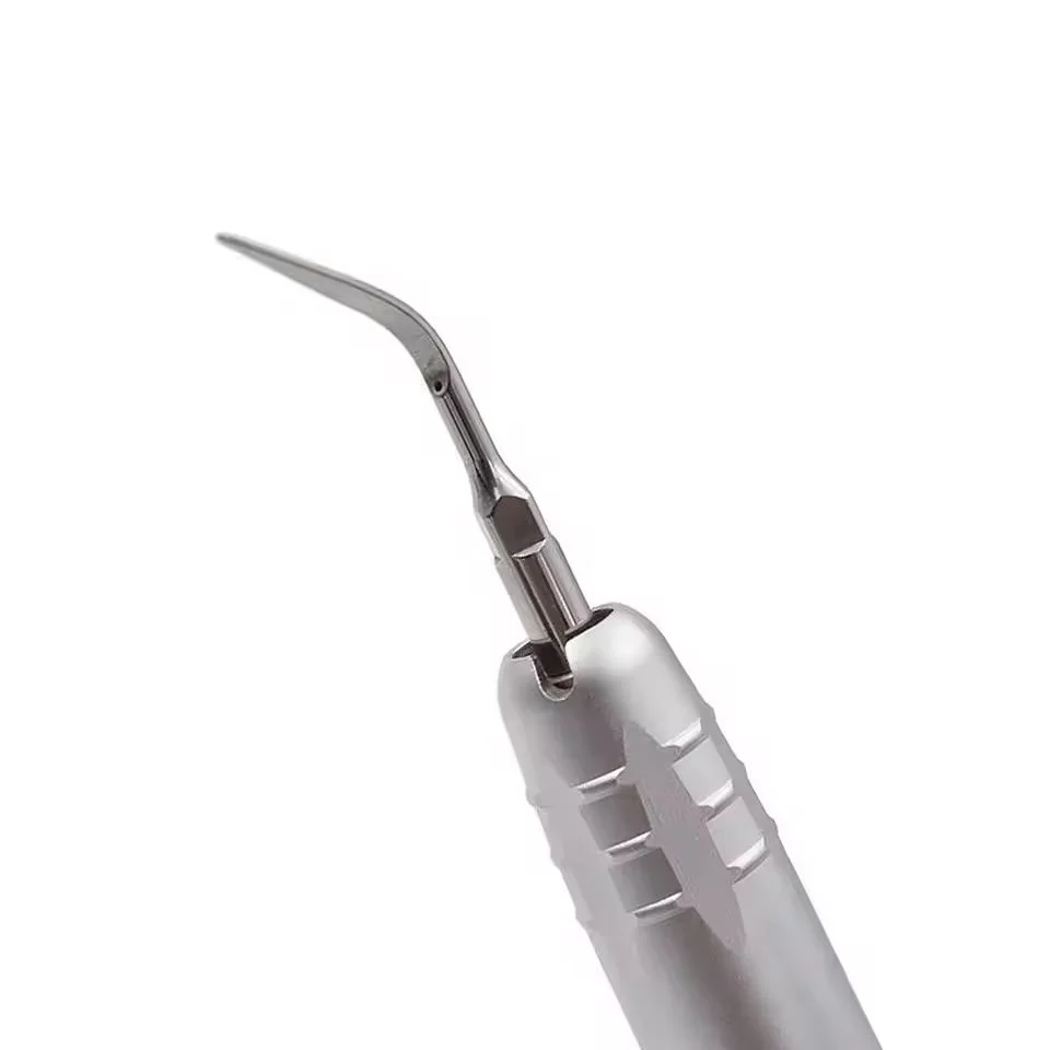 Autoclaved Dental Ultrasonic Air Scaler Handpiece With 3 Tips Pneumatic Scaler Tooth Calculus Remover Cleaning Dentist Lab Tools