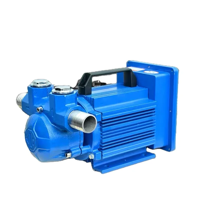 Gasoline and diesel universal 1 inch 12V/24V/220V  Blue Pump