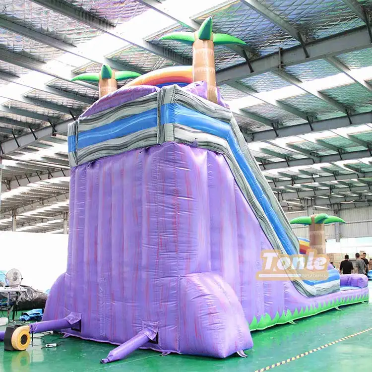 commercial kids purple marble inflatable water slide for sale