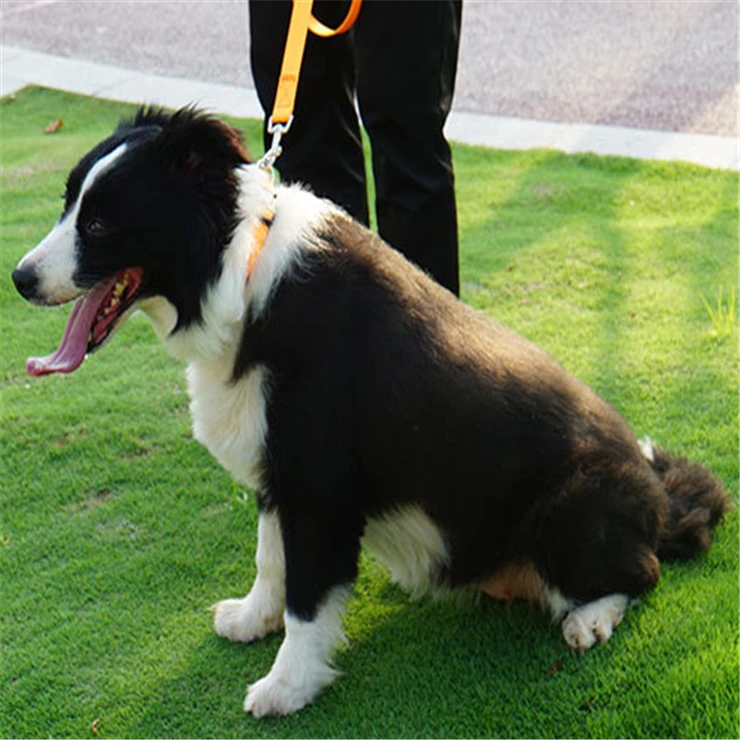 Premium Adjustable Heavy Duty Nylon Super Soft Handle Pets Leash for Medium Large Giant Dogs Daily Use Walking and Training