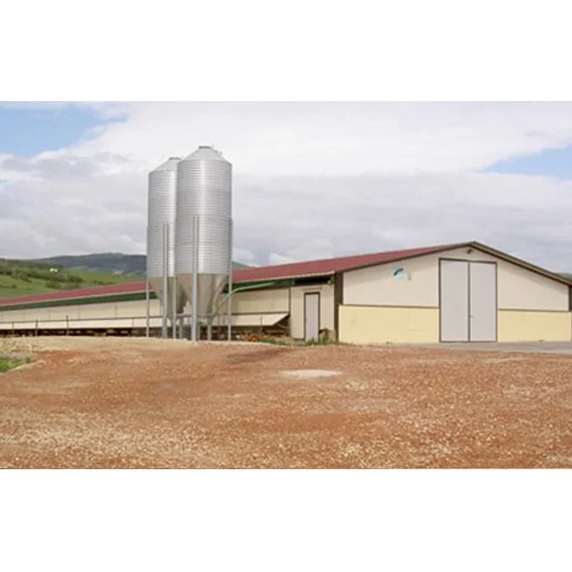 China Low Cost light metal prefab chicken farm shed building steel structure chicken house with automatic chicken Equipment