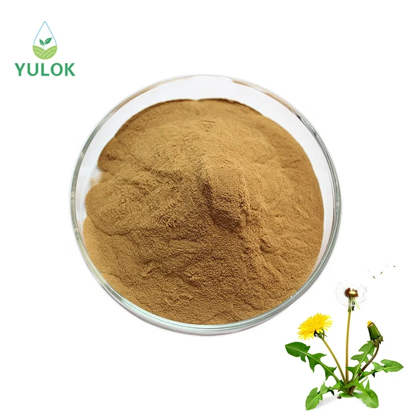 Wholesale Food Grade Health Food Supplement Dandelion Root Extract Powder