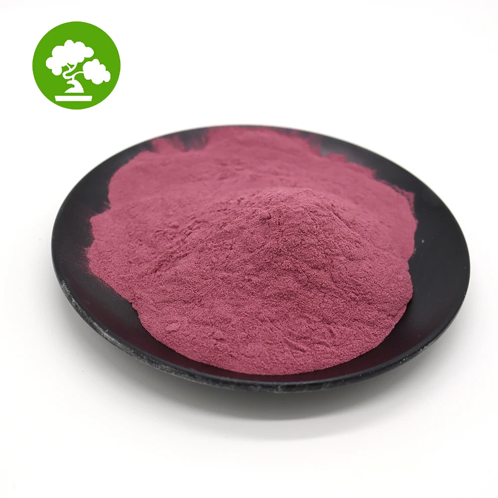Food Grade Dragon fruit freeze-dried powder Natural Dragon fruit