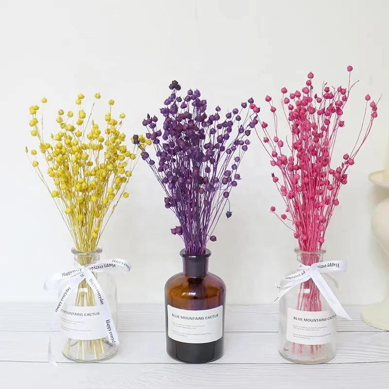 Factory Wholesale Dried Flower Jequirity Bean  Jumble-beads Love Pea For Home Decoration