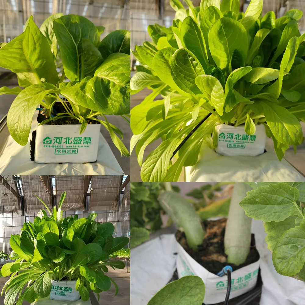 Wholesale Cheap Agricultural Rock Wool Grow Block Cubes Hydroponic Rock Wool Greenhouse