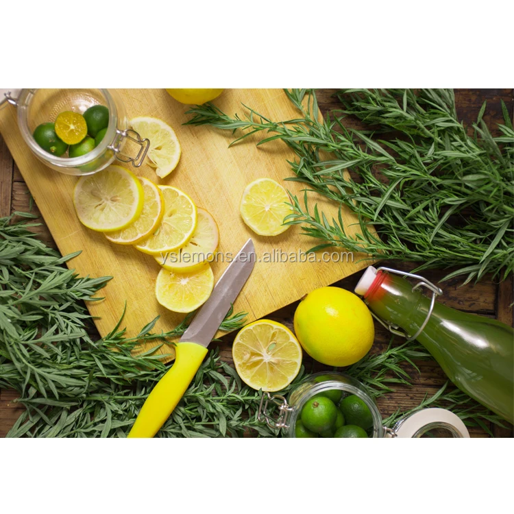 Montale Rich лайм для продажи, свежий органический лимон