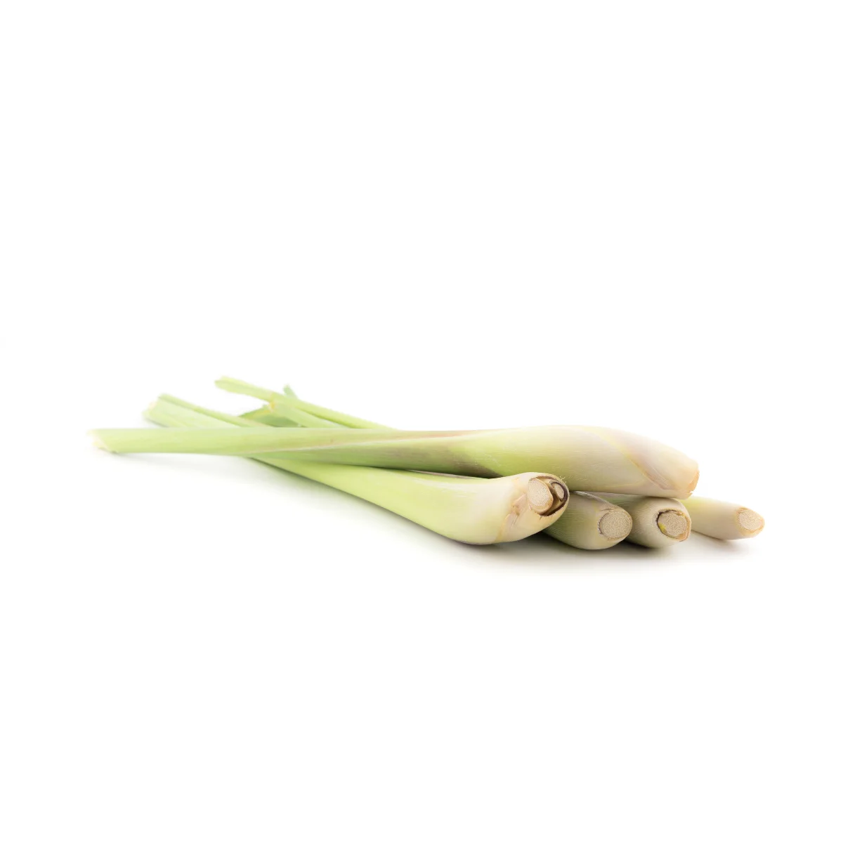 Lemongrass High Quality Competitive Price Made In Vietnamese Manufacturer 100% Pure Naturally For Cooking