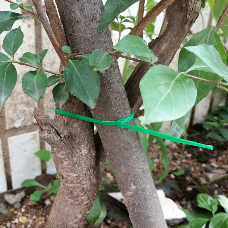 High Quality Wholesale Manufacturer China Nylon Cable Tie