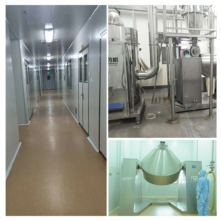 Wholesale Bulk Green Tea Extract l theanine l-theanine powder