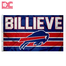 Buffalo Bills 14.jpg