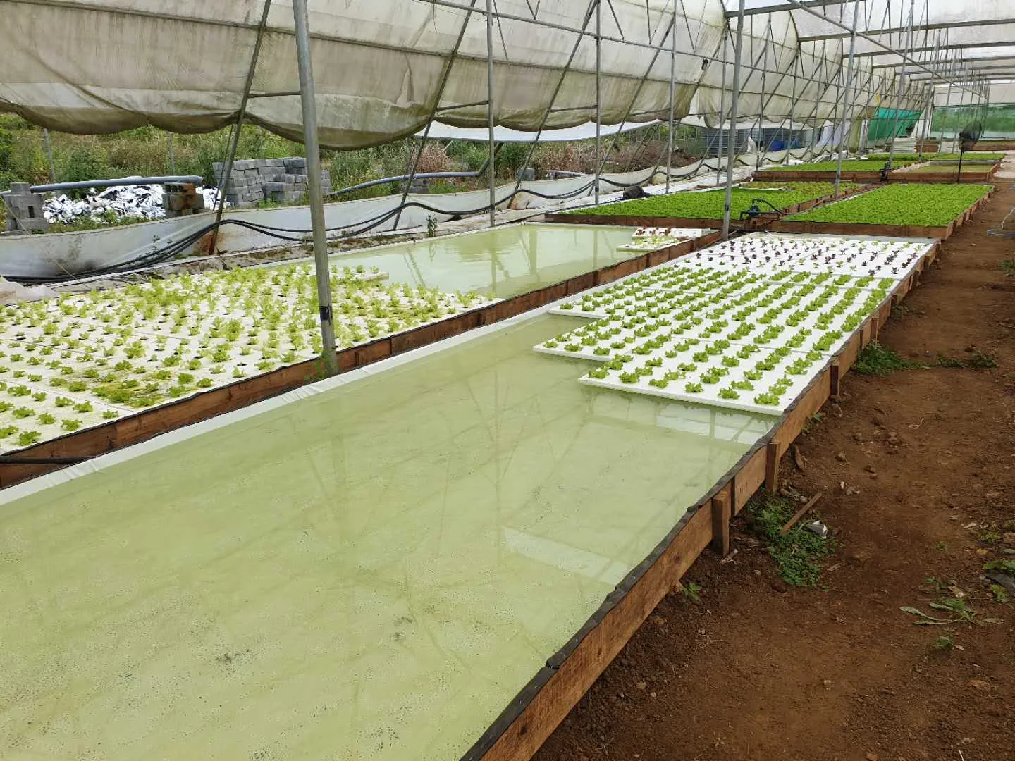 DWC Aquaponics фермерские теплицы Гидропоника сцепляющий плот гидропонная растущая кровать плавающие системы