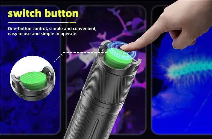 UV Torch (10)
