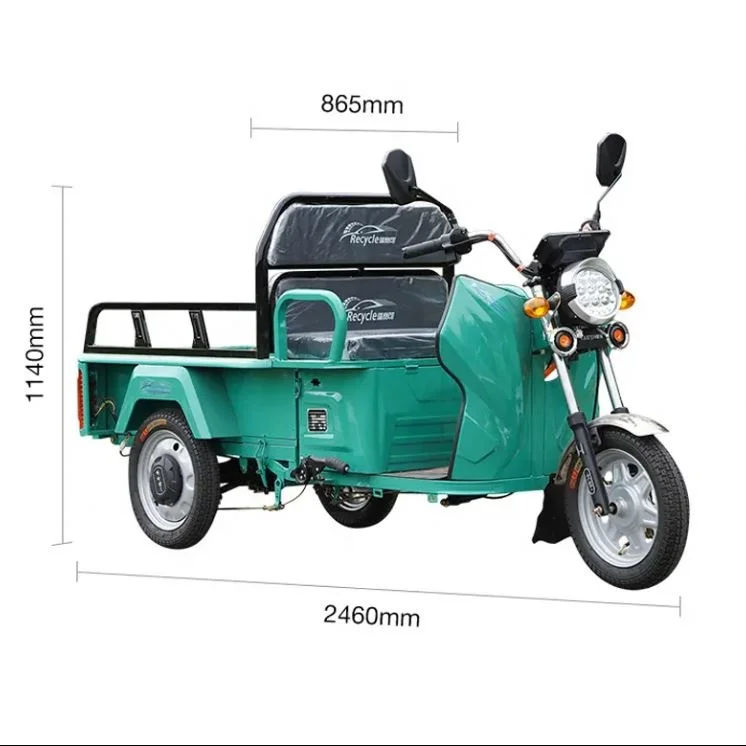 CHENLU Low Speed High Quality 800W Leisure Tricycle Three Wheel Electric Bike With Roof For Passenger Use